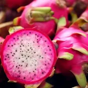 【初品果】南投夢幻雙色火龍果6斤5-7顆x1盒(雙色冰淇淋_季節限定_鮮採直送)