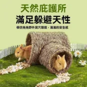 兔子躲避隧道草窩玩具寵物兔兔龍貓荷蘭豬自嗨玩耍解悶草屋兔子用品草編隧道草窩兔窩草墊兔子窩兔子玩具牧草窩 兔子磨牙天竺鼠