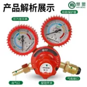 《廠家直銷》雙表防震丙烷減壓器 煤氣減壓閥YQY丙烷表壓力錶可防摔節能調壓閥