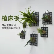 (店+)【威揚購物】鹿角蕨植板 植床板 小號3*4格 鹿角蕨板(附掛鉤帶螺絲 植物板植物框 蕨類上板神器 塑膠透氣板)
