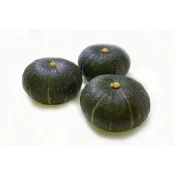 {東區鮮生} 日本栗惠栗子南瓜(秀級)  .北海道夕張栗子南瓜🎃