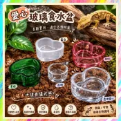 ★爬蟲新樂園★[台灣現貨]愛心玻璃食水盆 可愛愛心造型 玻璃材質 安全無毒 易清洗 穩固不易打翻 爬蟲用食水盆