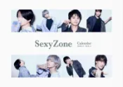 (新品現貨)9784838790685 傑尼斯官方 Sexy Zone 2020.4-2021.3 官方學年曆