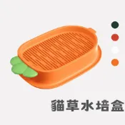 24H速出🔥【阿明先森】貓草水培盒 貓草 貓薄荷 貓飼料 化毛膏 貓咪排毛 貓草盆栽 種貓草 貓草盒 貓草 貓咪化毛