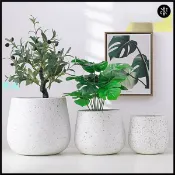 華成 限時折扣 【熱銷爆款】北歐極簡白色水泥花盆大號新款龜背竹琴葉榕天堂鳥水磨石花盆 北歐簡約白色塑膠花盆特