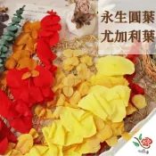 (店+)永生圓葉尤加利葉 圓葉 極度花燥 花材 葉材 永生花 乾燥花 不凋花 不凋桉樹葉 尤加利 畢業季 畢業 七夕 情人節