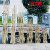 戶外竹籬笆 竹屏風 竹圍欄 柵欄 碳化防腐竹 花園爬藤架 園藝圍籬 伸縮竹籬笆 竹子籬笆 竹籬笆 園藝柵欄