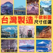 釘好內框🔥Manto【台灣製造】數字油畫｜日本景點系列(4050) 成人畫畫舒壓 生日禮物