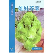 (店+)【天橙種子】娃娃芥菜種子 孢子芥菜  約1公克 秋季播種 葉菜類種子 興農種苗 家庭園藝 彩色原包裝