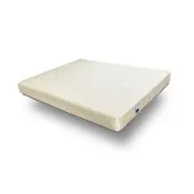 【BODEN】雙人 涼感纖維兩用涼蓆護背 硬式彈簧床墊 5尺x6.2尺x19cm-波塞頓