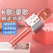 北歐居家生活 手機全民K歌ws-858直播無線藍牙音響話筒一體兒童KTV家庭用麥【北歐家居生活】