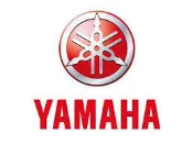 YAMAHA山葉原廠零件 BWS 125 空濾總成 + 小海綿 (2012)