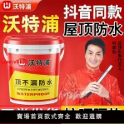 白日夢想家 【台灣公司 超低價】沃特浦屋頂防水補漏膠房頂樓頂膠水外墻裂縫防水瀝青漆補漏王涂料