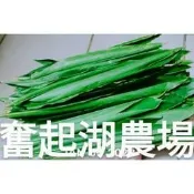 【奮起湖農場】野生月桃葉1片5元 新鮮採出 大粽葉/肉粽葉/一口粽/甜粽  無農藥 無化肥享受大自然原味幸福