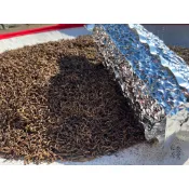 【崧喬茶業】新鮮高山茶枝 生茶枝 熟茶枝 黑炭茶枝 茶枝枕頭 大壺茶 熟香 清香 茶葉 烏龍 四季春 金萱茶 茶梗