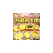 (店+)龜室｜陸龜食盆 飲水餵食盆盤 泡澡盆 菜盤 兩棲爬蟲爬寵 陸龜烏龜蘇卡達豹龜櫻桃紅腿守宮蜥蜴角蛙蜘蛛昆蟲飼養箱