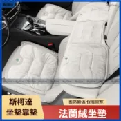 Skoda 斯柯達 法蘭絨坐墊 車用座椅坐墊 Kodiaq汽車坐墊 Octavia Combi Kamiq座椅椅墊 靠墊