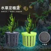 定植水培盒 水草 魚缸定植盆 水耕盆 水生植物栽培盒 魚缸水培植物籃家用水草種植水草泥沉底固定器種植造景裝飾定植籃