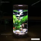 生態瓶 造景瓶 玻璃瓶 生態瓶 微景觀水族箱 造景鬥魚缸 辦公桌麵擺件 客廳玻璃魚缸 生態球微景觀