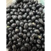 生青仁黑豆 600克 黑豆 生青仁