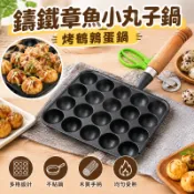 🔥壹灣公司貨🔥24H限時下殺💥 不粘鍋＆烤鵪鶉蛋模具鑄鐵章魚小丸子鍋烤鳥蛋鍋鑄鐵鵪鶉蛋烤盤家用不粘鍋gbgf