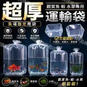 隔日到貨+免運🚚 魚蝦運輸袋 加厚方底袋 運輸袋 寄送袋 孔雀魚 鬥魚 水晶蝦 觀賞魚 水草 水族包裝袋 活體包魚袋 魚