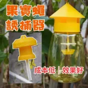 (店+)【欣榮園藝資材行】瓶蓋式 果蠅誘捕器 果實蠅引誘劑 果蠅誘捕劑 瓜果蠅 果實蠅 瓜實蠅誘餌劑 果園果蠅捕捉器 引誘劑