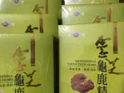 (現貨宅免運) 華陀扶元堂 天官靈芝龜鹿精(9瓶/盒) 華陀400%雙芝龜鹿精 鱘龍甲魚龜鹿膠元 骨力 元氣
