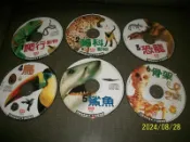 漢聲精選 目擊者影集 VCD 1-26集