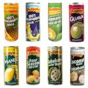 菲律賓 Philippine Brand 芒果汁 鳳梨汁 芒果 果汁 Mango Nectar juice 250ml