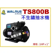 (店+)【天隆五金】大井 TS800B 1HP 塑鋼抽水機 不生鏽抽水機 靜音型抽水馬達 TS800