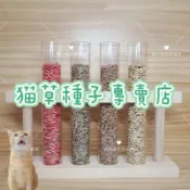 貓草種子(大麥草.小麥草.日本燕麥.黑麥草.黑燕麥 ) 大麥草種子 小麥草種子 黑麥草種子 黑燕麥種子【蔡小魚和蔡娜美】