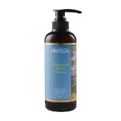 【草本24】Herb24 忍冬舒活洗髮精 500ml(染燙受損髮質、溫和洗淨、平衡油脂分泌)