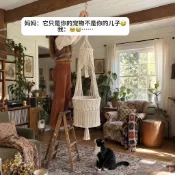 Gift🎁貓吊床 懸掛式掛窩繩編織貓窩陽台鞦韆掛床四季通用窗戶吊籃曬太陽生日禮物 送礼物