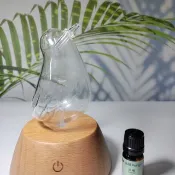 【現貨 禮物】鳥與花香 無線充電擴香儀 實木底座 贈精油
