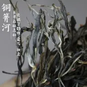 嚴226易武古樹普洱茶樣品刮風寨曼松天門山百花潭 銅箐河 易武茶區