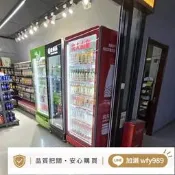 【發票】冷藏冷凍網紅酒水啤酒展示保鮮立式雙門銅管商用飲料冷飲蔬菜冰櫃