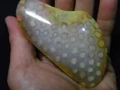 寶貝精品@@1200珍藏~漂亮珊瑚菊花玉~~括痧招財