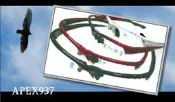APEX 眼鏡   鏡架零售   型號937（只賣空框，共四色框）