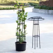 🎁戶外傘形玫瑰爬藤架月季鐵線蓮攀藤薔薇花苗四季花架植物園藝支架