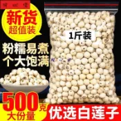 🔥安元堂 【精品】白蓮子泡茶 湖南特產 無熏硫 湘潭蓮子乾貨 去芯白蓮米 無芯磨皮通心寸三蓮湘蓮500g
