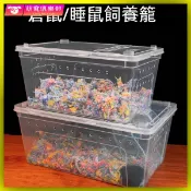 🐶🍂豪華套 倉鼠造景 倉鼠屋 大倉鼠籠 倉鼠外出籠 密袋鼠 金絲熊 睡鼠飼養盒透明倉鼠金絲熊小窩用品花枝鼠養殖箱睡鼠