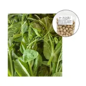 (店+)【蔬菜之家】E07.豌豆苗種子25克(約65顆) (葉用碗豆.豌豆鬚.豌豆尖.快炒店的豆苗菜)