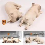MR.Z  老朱的模擬動物  1/6  睡眠中小法國鬥牛犬