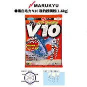 【MARUKYU】丸九 黑白毛力 V10 磯釣誘餌粉 A撒粉 黑白毛磯釣粉