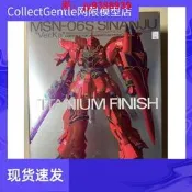【淘淘屋】萬代MG1100MSN-06SSinanjuVerKa新安洲新安州電鍍