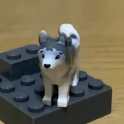 【老皮】【特價】樂高 Lego 動物 哈士奇 16606pb001