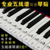 協貿國際日用品生活3館 鋼琴鍵盤貼紙88鍵61電子琴手卷琴鍵五線譜簡譜按鍵音符音標數字貼