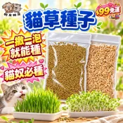 99就免運! 一撒一泡就能種 貓奴必種 貓草種子 小麥 大麥 黑麥 苜蓿芽種子 貓草盆栽 貓咪排毛 RY1