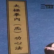 【家用首選】吳國忠太極拳內功心法太極哲學之應用腳印下的太極拳心瀝太極拳思路日記心得道家太極劍法太極拳推手竅正